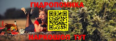 гашишное масло Будённовск