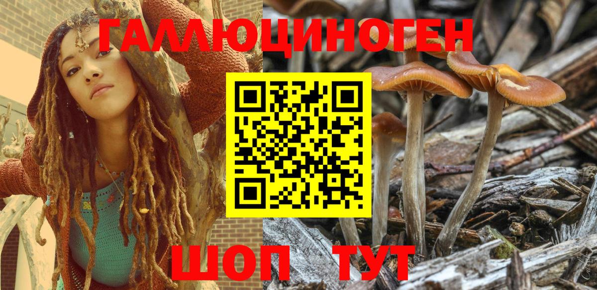 Псилоцибиновые грибы Psilocybine cubensis  Псилоцибиновые грибы ЛСД  Вход с VPN  Красный Сулин 