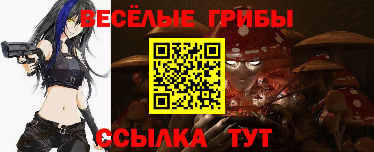Псилоцибиновые грибы мухоморы Красный Сулин
